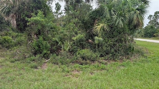 130 Tillman St, Port Charlotte, FL 33954 - photo 1
