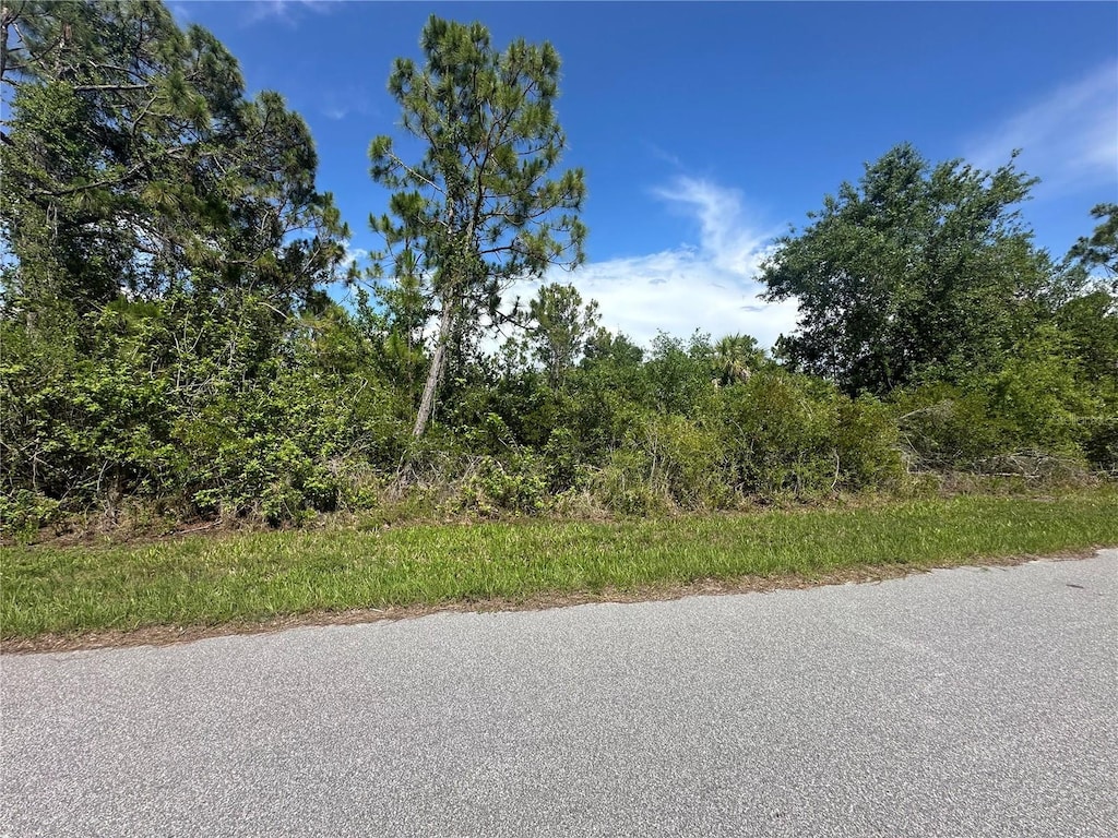 2392 Salerno St, Port Charlotte, FL 33953 - photo 2