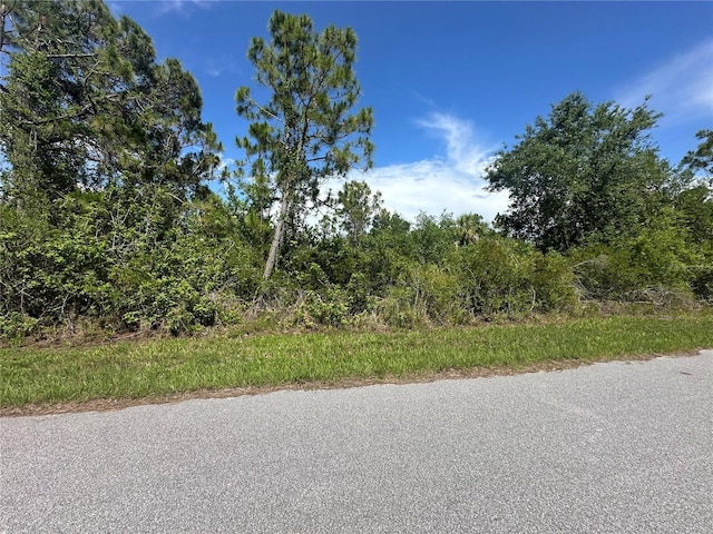 2392 Salerno St, Port Charlotte, FL 33953 - photo 2