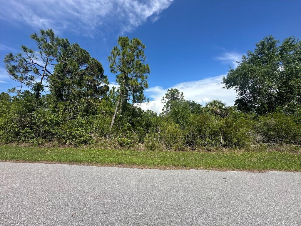 2392 Salerno St, Port Charlotte, FL 33953 - photo 3