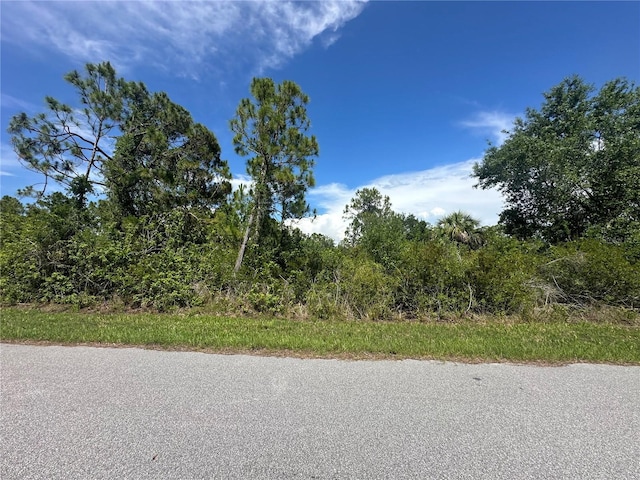 2392 Salerno St, Port Charlotte, FL 33953 - photo 3