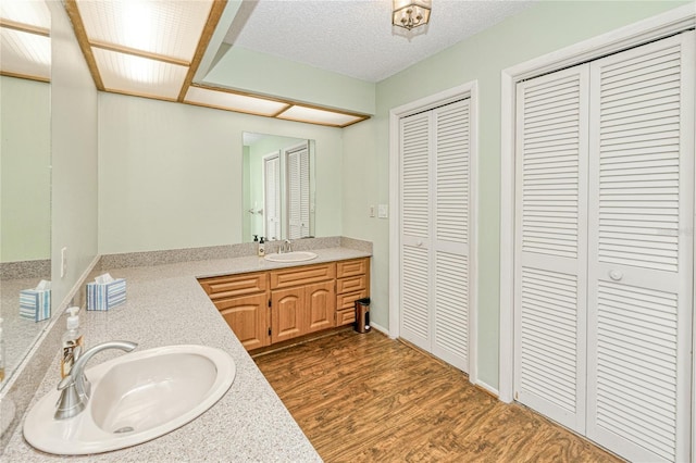 2160 Aqui Esta Dr, Punta Gorda, FL 33950 - bathroom with a closet, vanity, and wood finished floors
