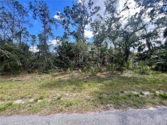 Vizza Ln, North Port, FL 34286