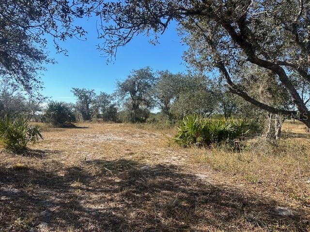24 Sunburst Rd, Venus, FL 33960 - photo 6
