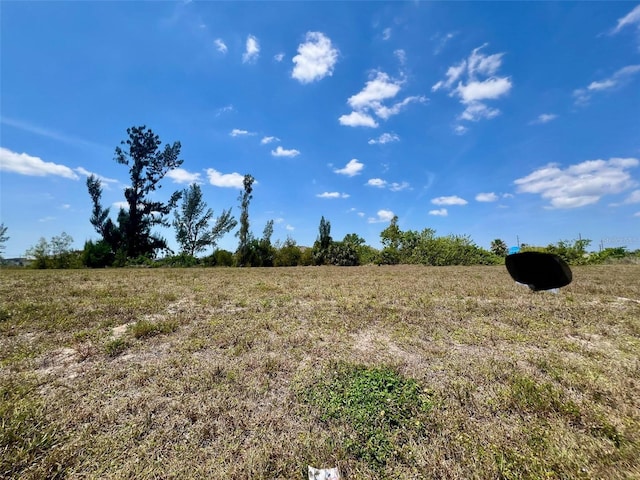 2234 NW 2nd Ave, Cape Coral, FL 33993 - photo 2