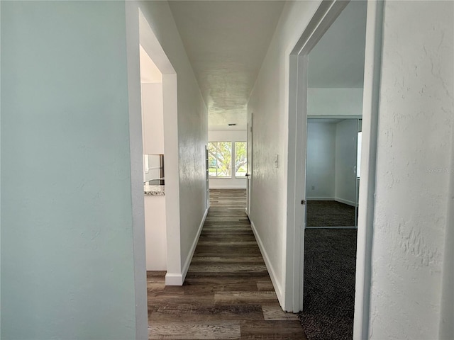 21899 Cellini Ave, Port Charlotte, FL 33952 - hall with dark wood-type flooring and baseboards