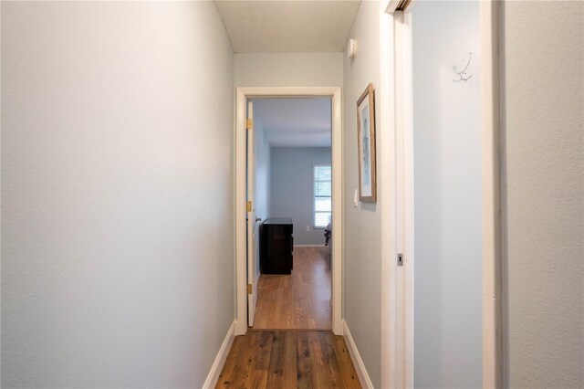 21220 Pemberton Ave, Port Charlotte, FL 33952 - hallway with dark wood-style flooring and baseboards