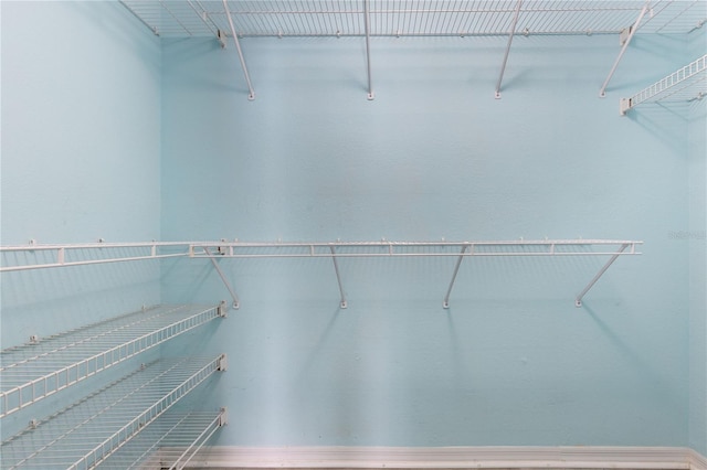 3242 Nocturne Rd, Venice, FL 34293 - view of spacious closet