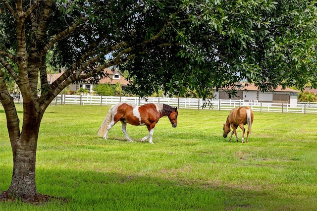 5221 Blackjack Cir, Punta Gorda, FL 33982 - view of yard with a view of countryside