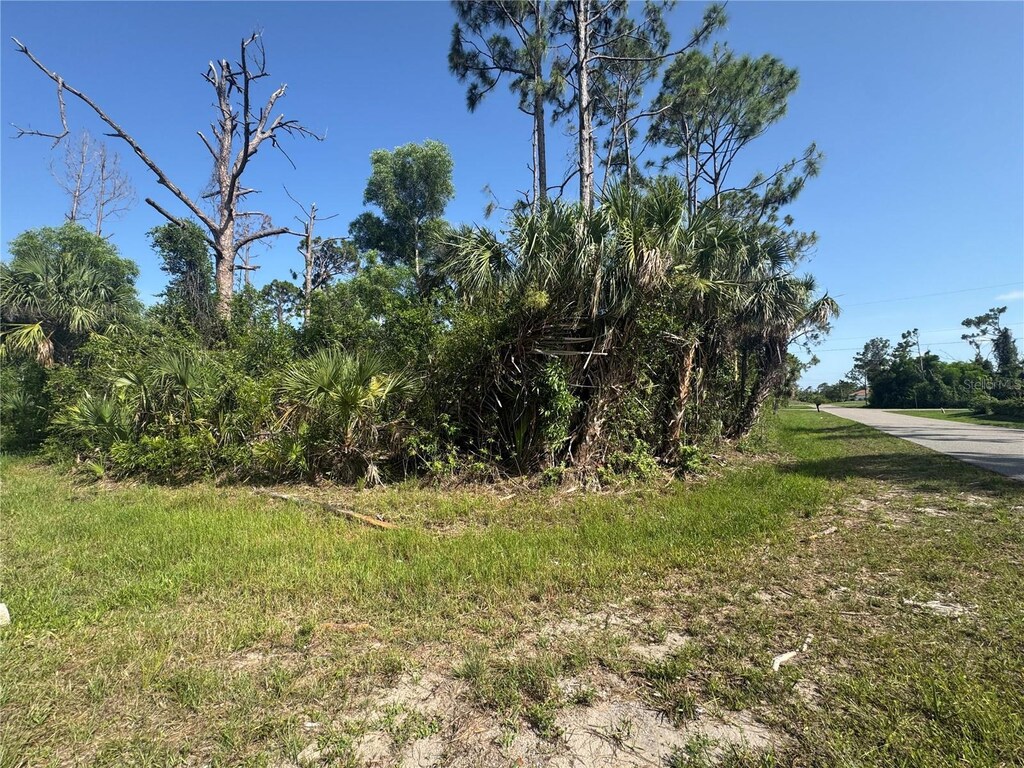 12401 Perrine Ave, Port Charlotte, FL 33981