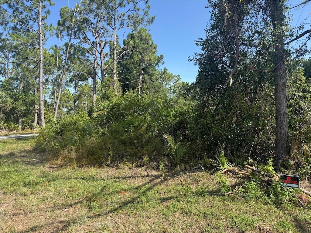 12231 Gerrity Ave, Port Charlotte, FL 33981 - photo 3