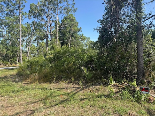 12231 Gerrity Ave, Port Charlotte, FL 33981 - photo 3