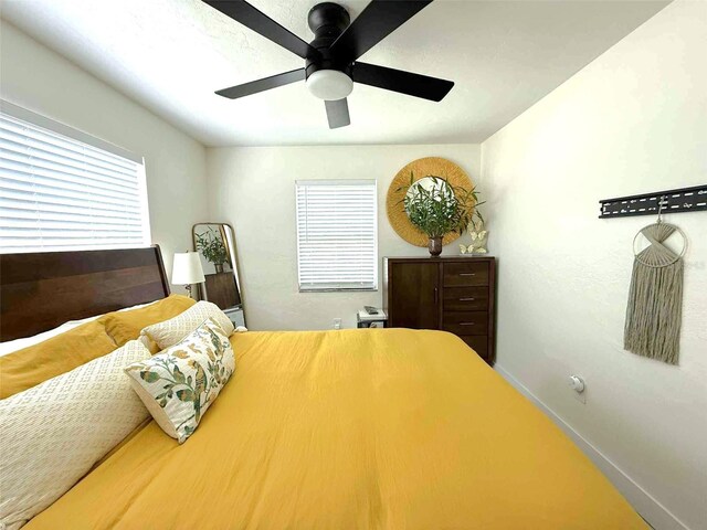 22334 Augusta Ave, Port Charlotte, FL 33952 - bedroom with multiple windows and a ceiling fan