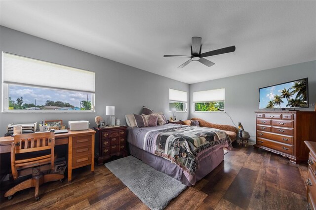 405 Ridgecrest Dr, Punta Gorda, FL 33982 - bedroom featuring dark wood-style floors, multiple windows, and a ceiling fan