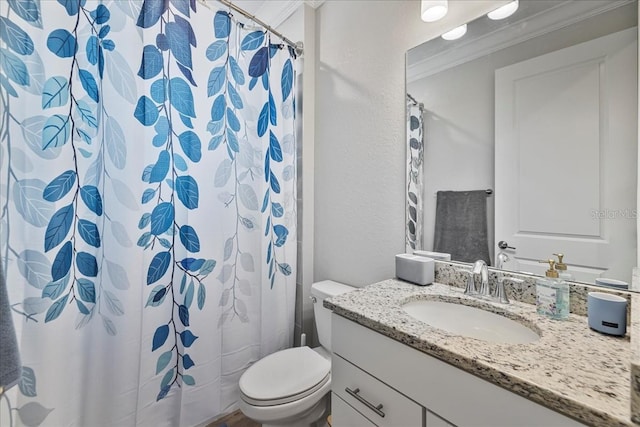15039 Black Cherry Way, Punta Gorda, FL 33955 - full bath featuring vanity, ornamental molding, and a shower with shower curtain