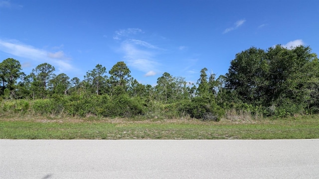 7001 Cypress Grove Cir, Punta Gorda, FL 33982 - photo 6