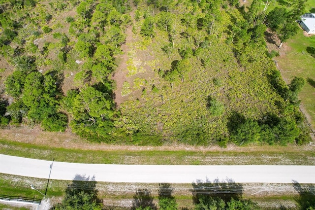 7001 Cypress Grove Cir, Punta Gorda, FL 33982 - photo 8