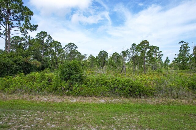 7001 Cypress Grove Cir, Punta Gorda, FL 33982 - photo 12