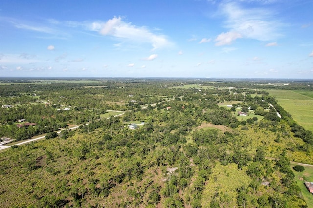 7001 Cypress Grove Cir, Punta Gorda, FL 33982 - photo 13