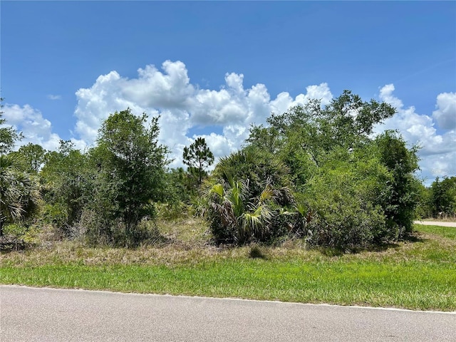22135 Doris Ave, Port Charlotte, FL 33954