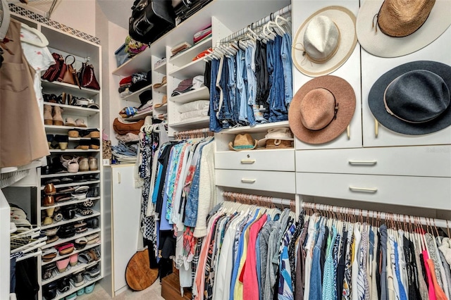 250 Freeport Ct, Punta Gorda, FL 33950 - view of spacious closet