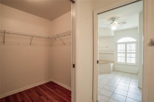 23101 Hillsdale Ave, Port Charlotte, FL 33954 - walk in closet with a ceiling fan and light wood finished floors