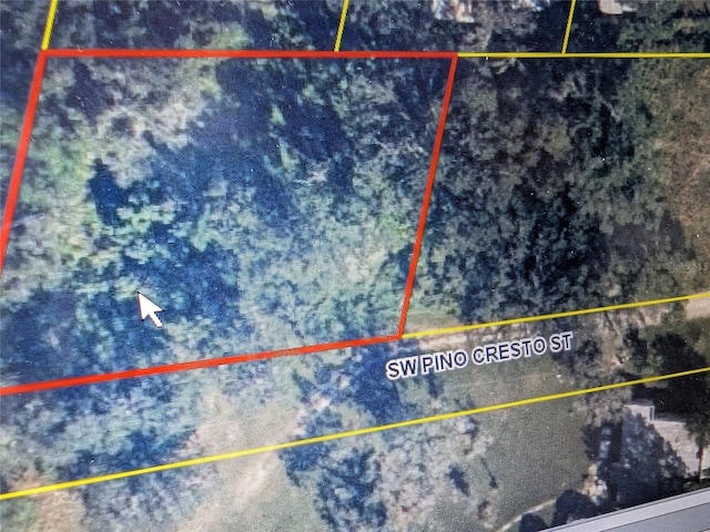 SW Pino Cresto St, Arcadia, FL 34266