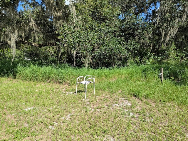 SW Pino Cresto St, Arcadia, FL 34266