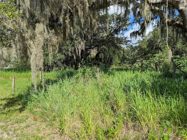 SW Pino Cresto St, Arcadia, FL 34266
