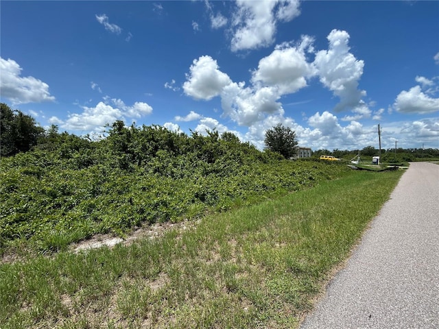 29100 Alfaretta Ave, Punta Gorda, FL 33982
