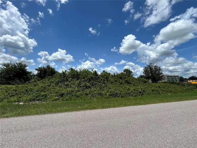 29100 Alfaretta Ave, Punta Gorda, FL 33982