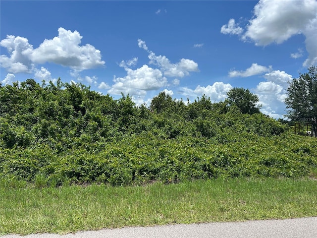 29100 Alfaretta Ave, Punta Gorda, FL 33982