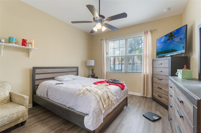 3221 Dark Sky Dr, Harmony, FL 34773 - photo 18