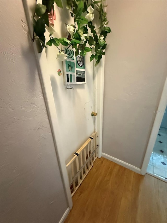 2174 Schwalbe Way, Sarasota, FL 34235 - detailed view of wood finished floors and baseboards