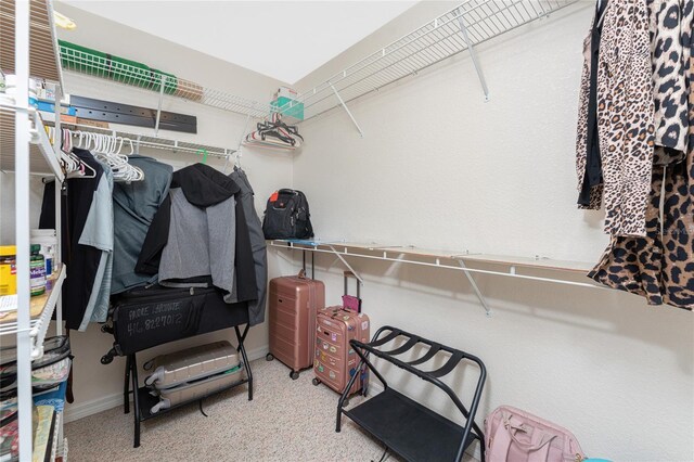 167 Marker Rd, Rotonda West, FL 33947 - view of spacious closet