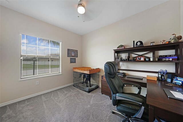 15261 Mille Fiore Blvd, Port Charlotte, FL 33953 - photo 26
