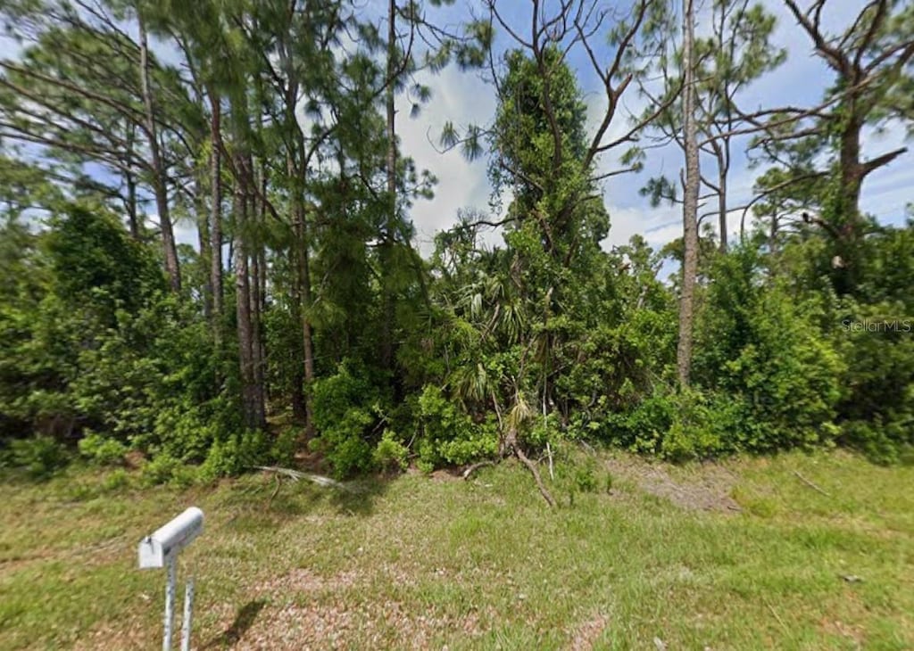 12310 Perrine Ave, Port Charlotte, FL 33981