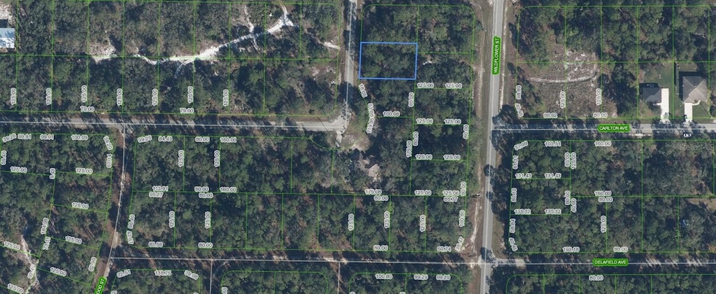 3202 S Dahlia Dr, Lake Placid, FL 33852 - photo 1