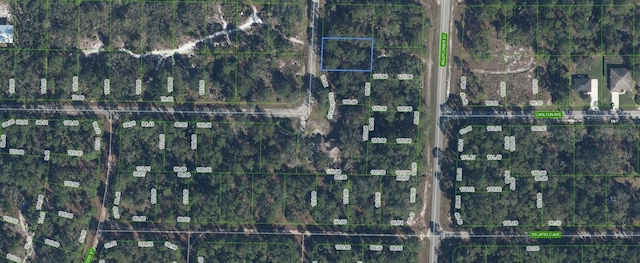 3202 S Dahlia Dr, Lake Placid, FL 33852