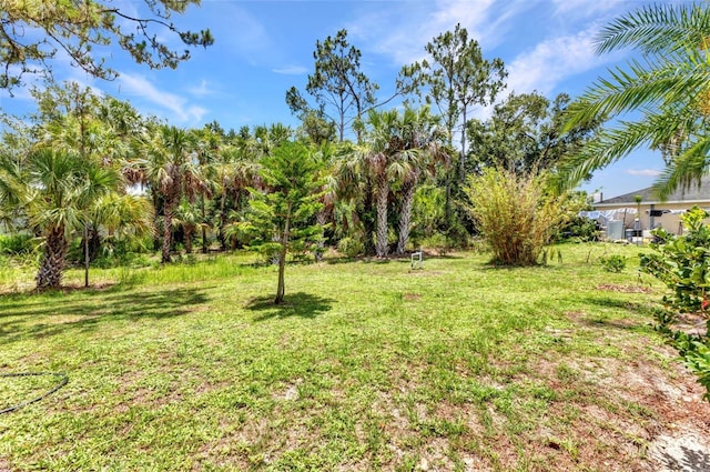 3305 Nansen Ln, North Port, FL 34286 - view of green lawn