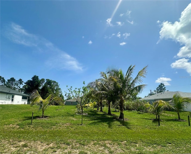 21287 Birwood Ave, Port Charlotte, FL 33954 - photo 20