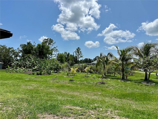 21287 Birwood Ave, Port Charlotte, FL 33954 - photo 21