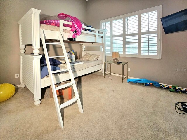 19343 Silver Oak Dr, Fort Myers, FL 33967 - photo 24