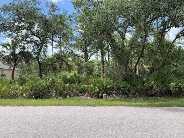 17496 Billiar Ave, Port Charlotte, FL 33948