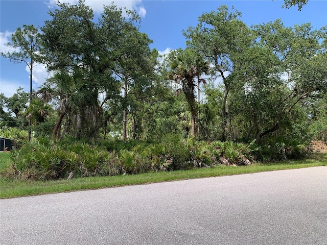 17496 Billiar Ave, Port Charlotte, FL 33948