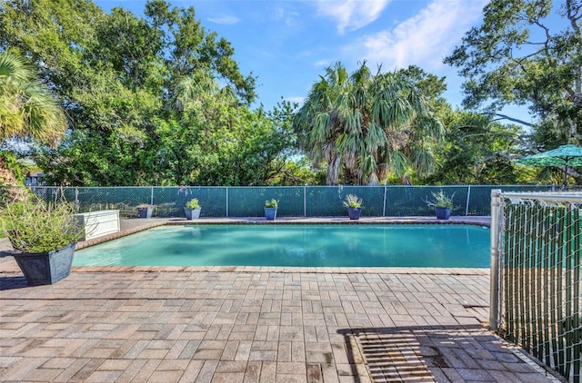 25082 Harborview Rd, Punta Gorda, FL 33980 - view of pool