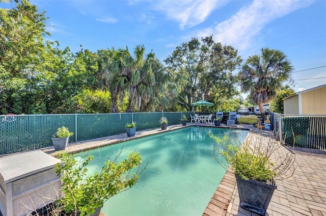 25082 Harborview Rd, Punta Gorda, FL 33980 - view of swimming pool