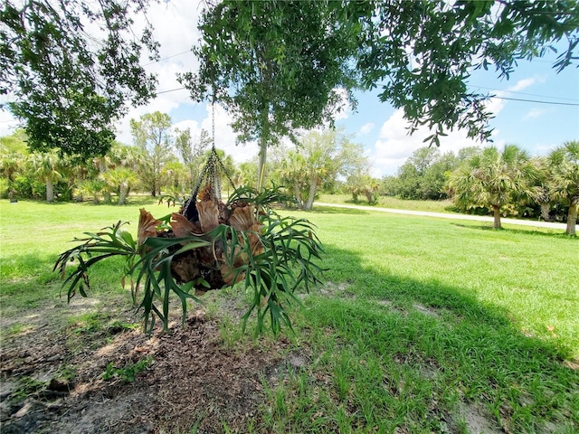 3456 Highlands Rd, Punta Gorda, FL 33983 - view of grassy yard