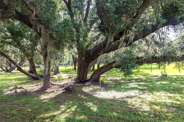 2788 SW County Road 769, Arcadia, FL 34266 - view of grassy yard with a fire pit