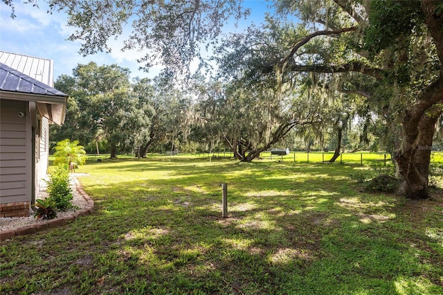 2788 SW County Road 769, Arcadia, FL 34266 - view of grassy yard featuring view of wooded area